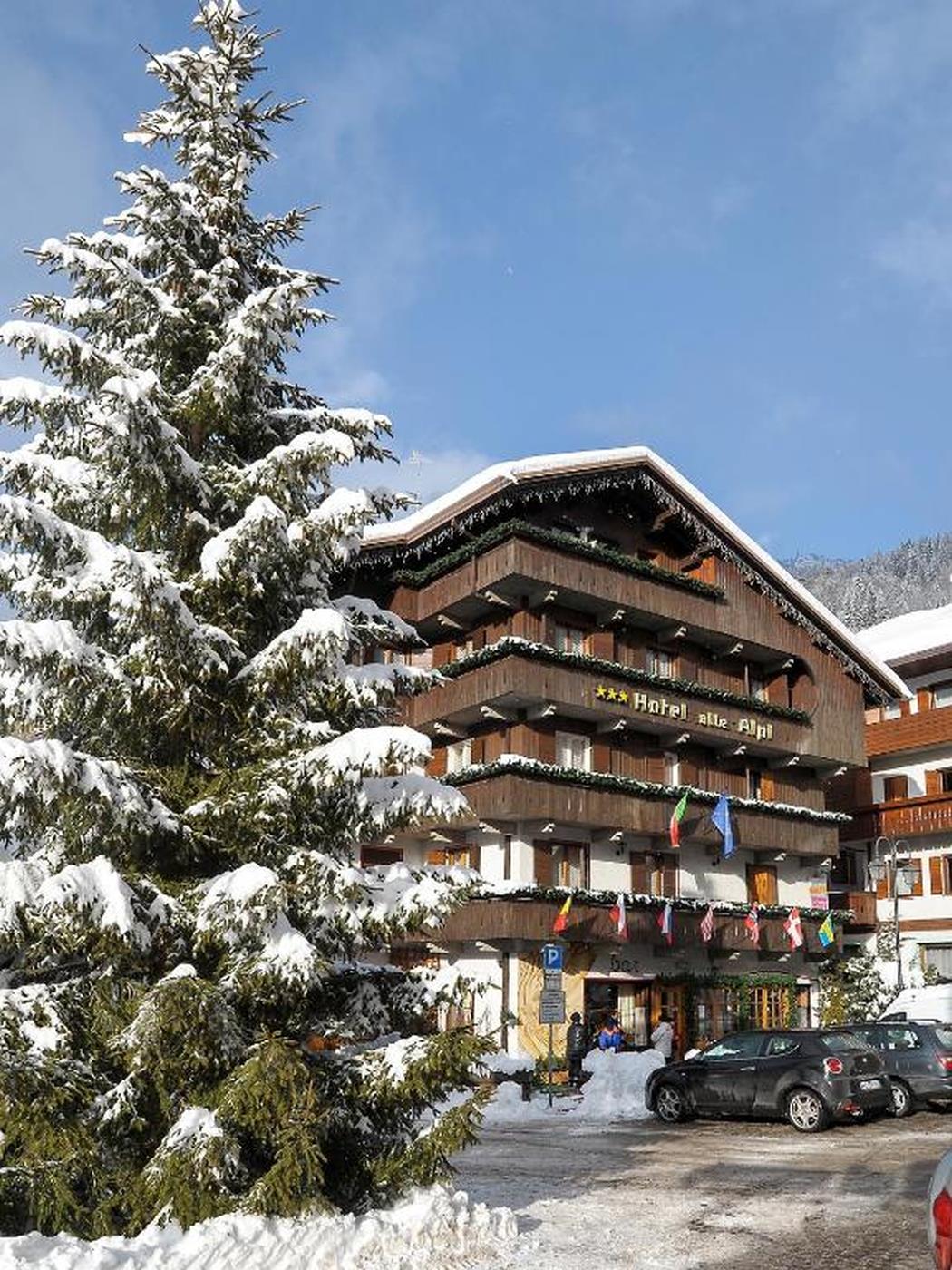 Hotel Alle Alpi***