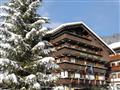 1. Hotel Alle Alpi***
