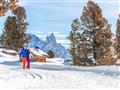 32. Hotel Arnica – 6denní lyžařský balíček s denním přejezdem, skipasem a dopravou v ceně****