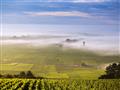 Burgundsko, země nekonečných vinohradů