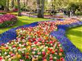 5. Květinový park Keukenhof s návštěvou Amsterdamu
