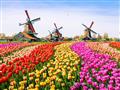 1. Květinový park Keukenhof s návštěvou Amsterdamu