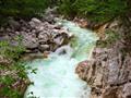 5. Jednodenní výlet k jezeru Bohinj s návštěvou vodopádu Savica