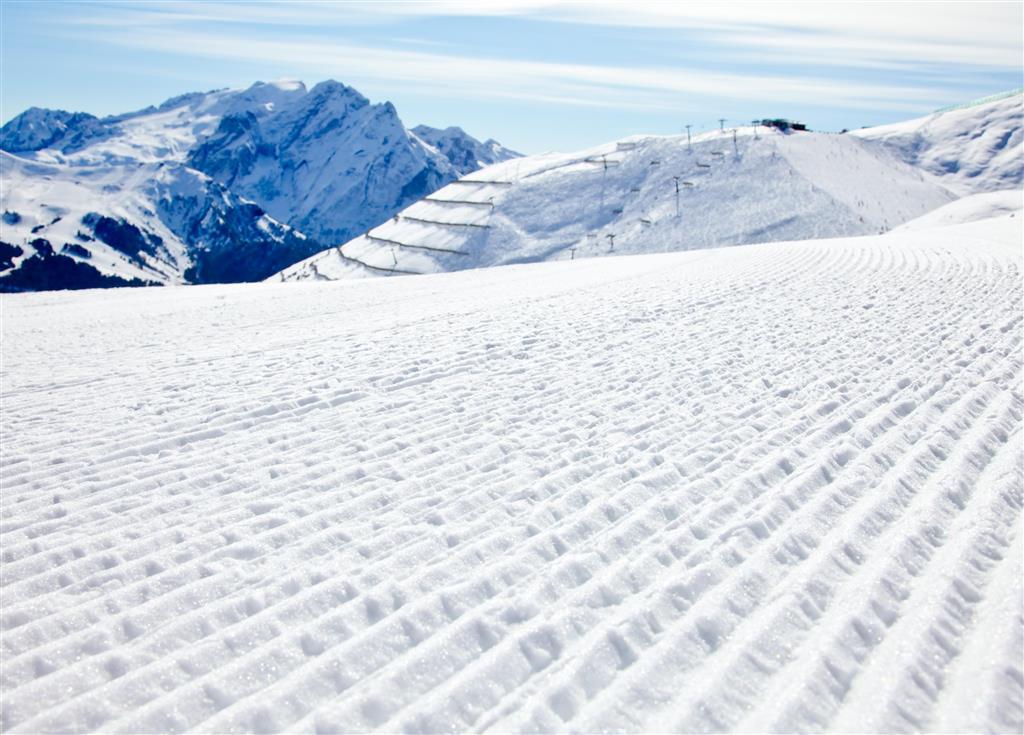 42. Alaska
