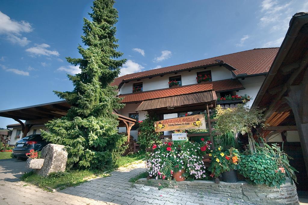 1. Apartmány Cokla - Terme Zreče