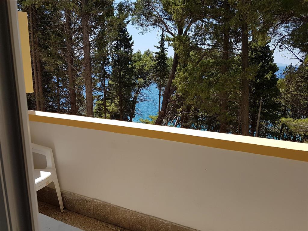 12. Hotel Oaza