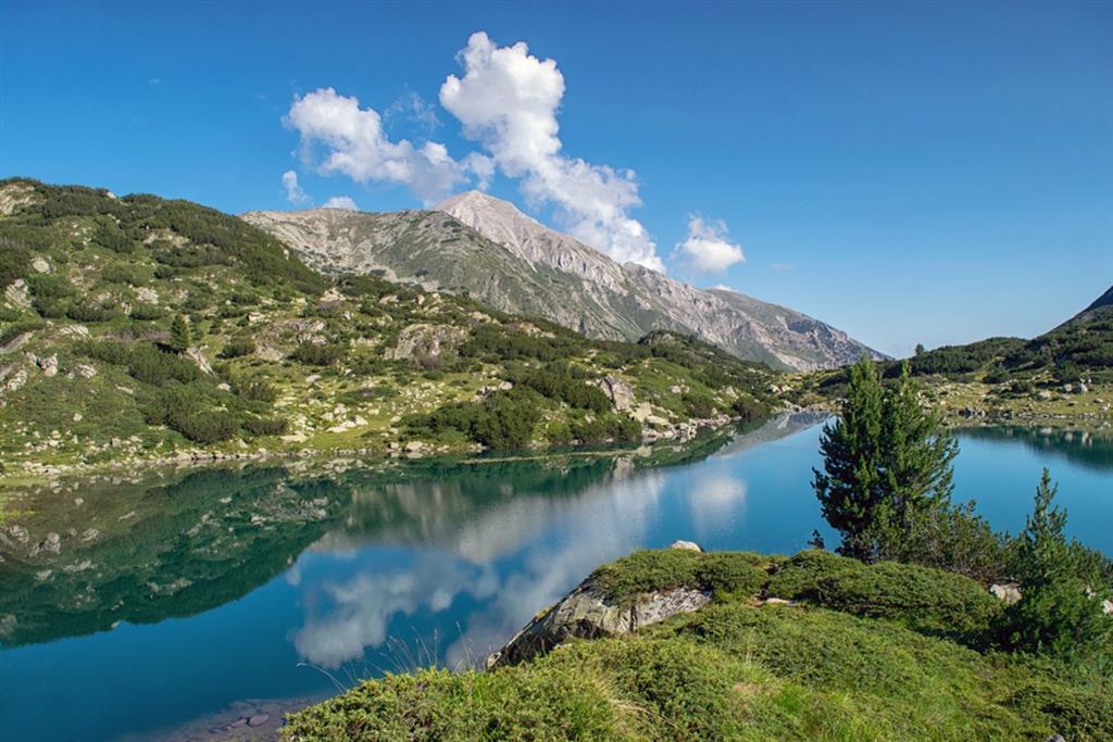 Pirin