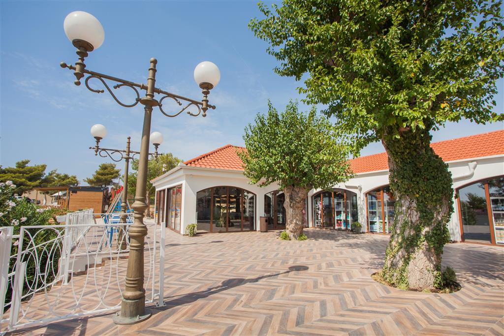 16. Camp Belvedere