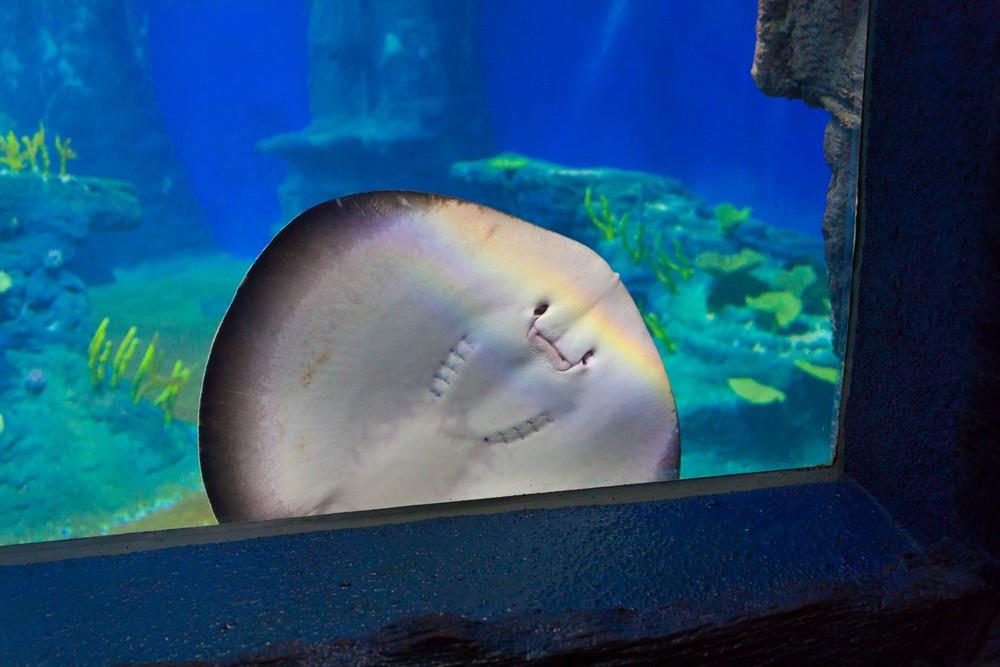 2. ZOO Wroclaw a Afrykarium