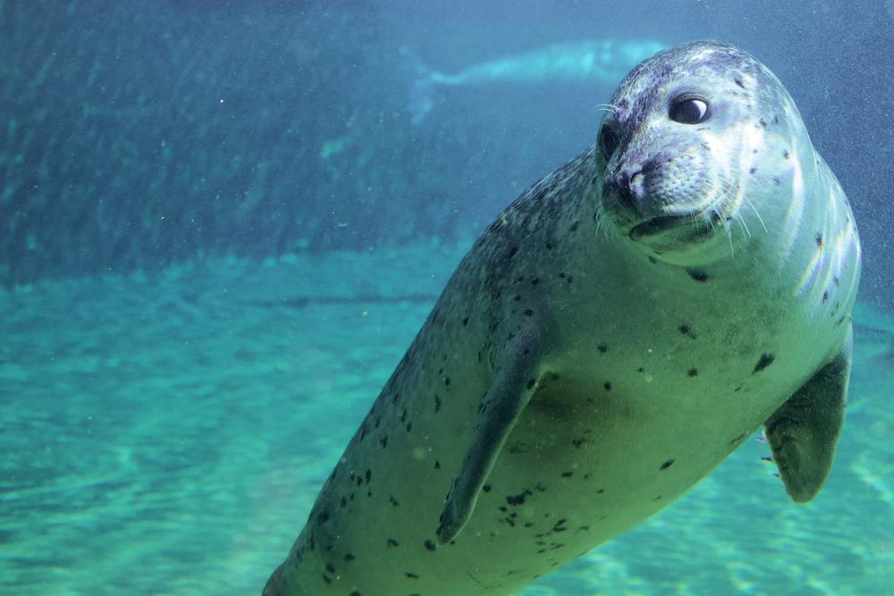 3. ZOO Wroclaw a Afrykarium