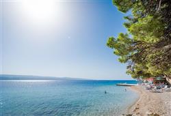 11. Holiday Village Sagitta