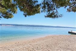 43. Holiday Village Sagitta