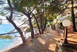 44. Holiday Village Sagitta