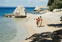 45. Holiday Village Sagitta