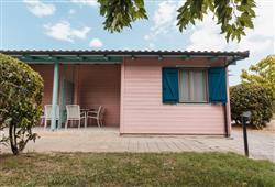 chalet Green Trea
