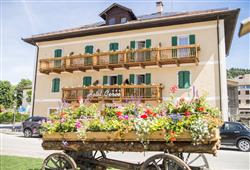 1. Hotel Al Cervo
