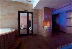 4. Wellness hotel Montis