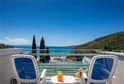 3. Hotel Mimosa