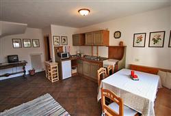 8. Různé apartmány v Campitello di Fassa