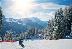 18. Různé apartmány v Campitello di Fassa