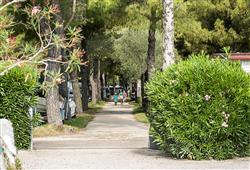 29. Camping Toscolano