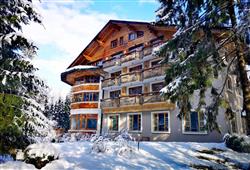 1. Hotel Ribno - lyžařský balíček s denním přejezdem, wellness a polopenzí v ceně