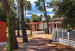 4. Camping park Soline