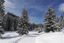 36. 5denní zájezd (denní přejezd) s dopravou, polopenzí a skipasem v ceně – hotel Comelico