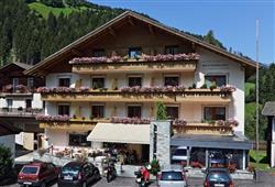 2. Hotel Alpenblick