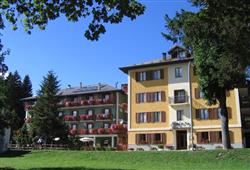 1. Hotel Monteverde