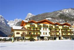 19. Hotel Alle Dolomiti