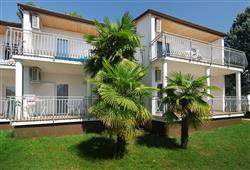 11. Apartmány Ai Pini