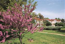 17. Apartmány Ai Pini