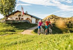 22. Hotel Kitzbüheler Alpen