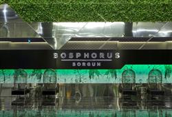 38. Bosphorus Sorgun Hotel
