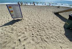 101. Hotel Royal Garden Beach