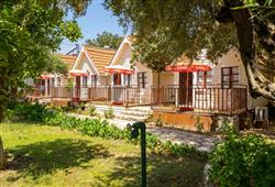 8. Hotel Clover Magic Nova Beach