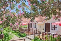 9. Hotel Clover Magic Nova Beach