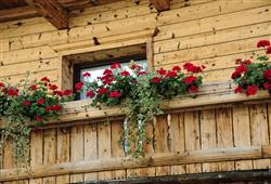 28. Gasthof Traube