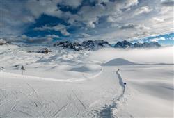 23. Montana