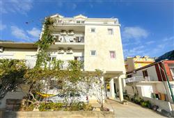 1. Vila Mirko
