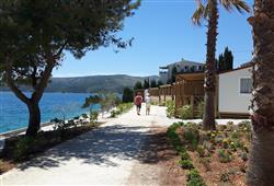 12. Camp Belvedere