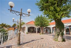 16. Camp Belvedere
