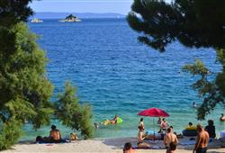 24. Camp Belvedere