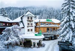 1. Hotel Trattlerhof