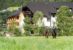 24. Hotel Trattlerhof