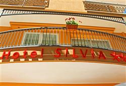 8. Hotel Silvia