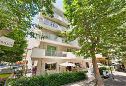1. Hotel Silvia
