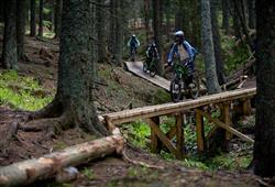 26. Hotel Planja – Green Holidays