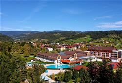 Terme Zreče